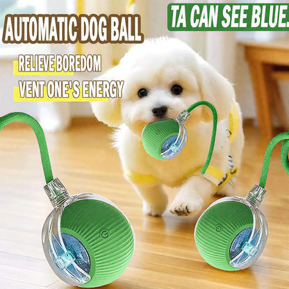 ROZINO Interactive Dog&Cat Toys 2025 Upgraded Durable USB Rechargeable Automatic Rolling Ball with Obstacle Avoidance Technology for Small Medium Large Pets